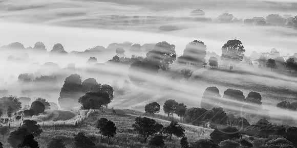 Spill- Lowood, QLD