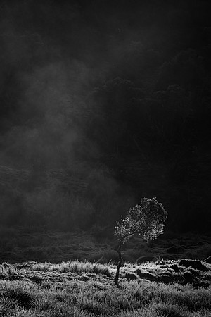 Linger - Cradle Mountain, TAS