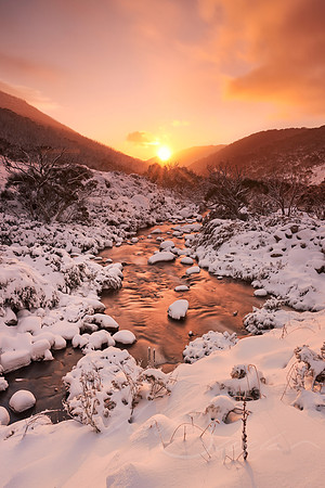 The Warm and Cold Morn