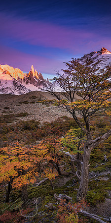 Cerros Small