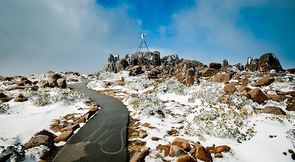 Mt Wellington Walk