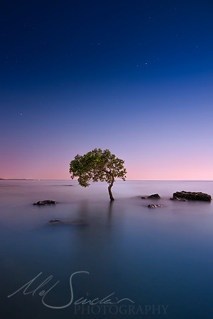 Ocean Ornament