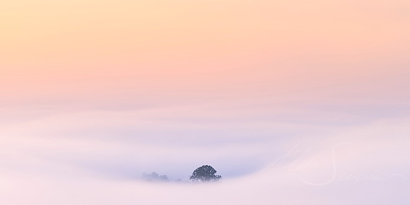 The One - Lowood, QLD