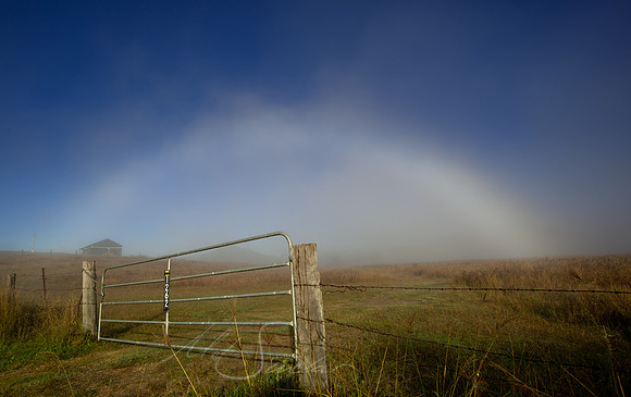 Fogbow