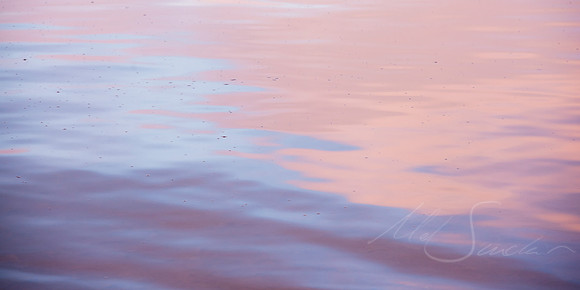 Reflections