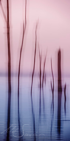 Streaky Sticks