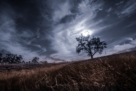 Haunting Daylight