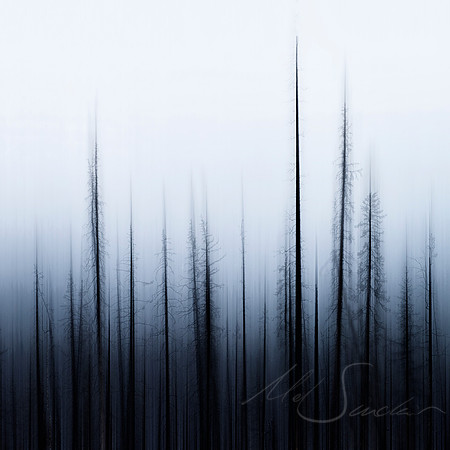 Parable - Medicine Lake, Canada