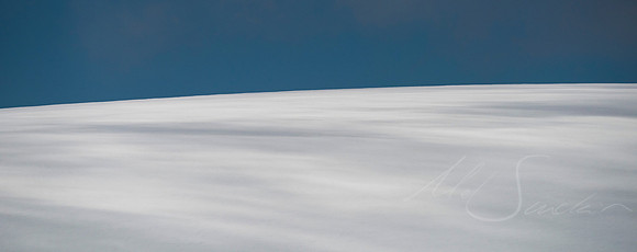 Nothing but White