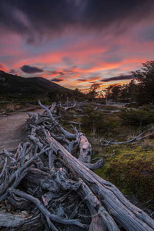 Sunrise from the Trail