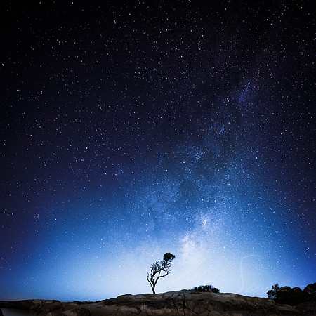 The Stars and You
