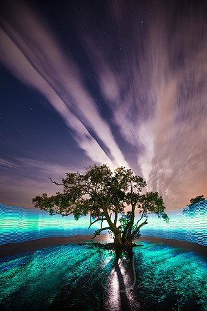 Electric Nights