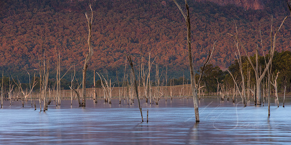 Moogerah Sunrise