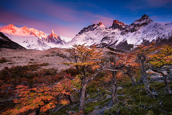 Cerro's Kingdom