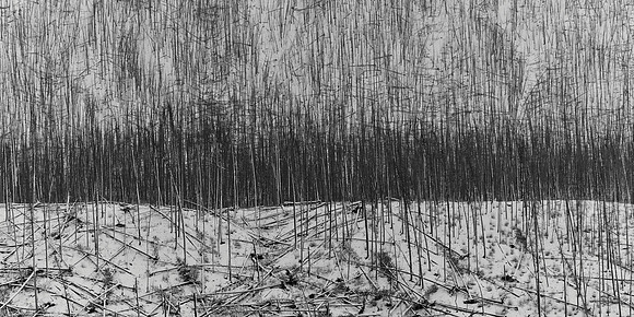 Pick-Up Sticks Mono