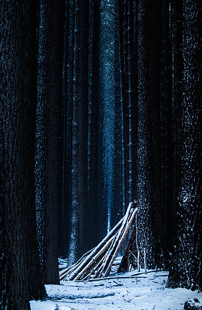 Sugarpine Shelter
