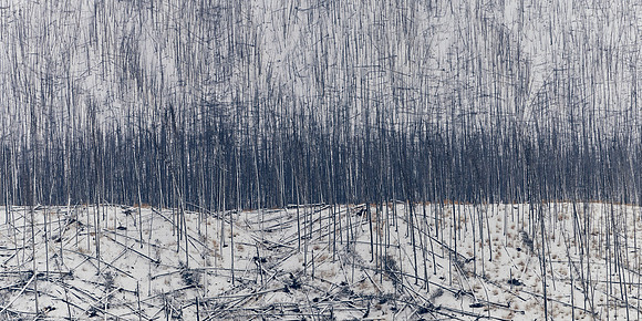 Pick-Up Sticks Ink