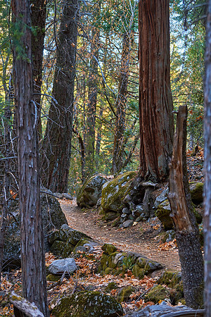 From The Trail