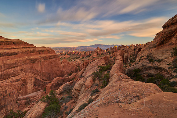 Utah Reds