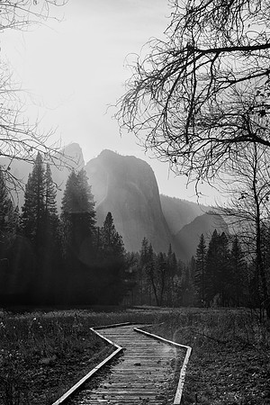 In Strong Light