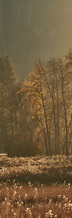 Afternoon Moody Light