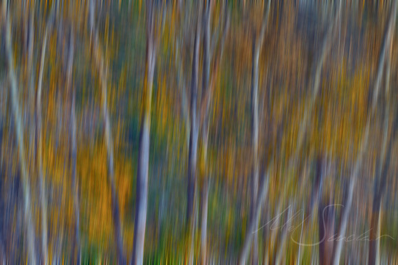 Yosemite Palette