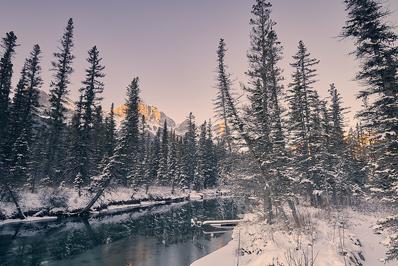 Canmore Cold