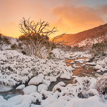Cold Warm II