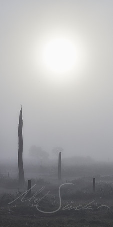 Totem