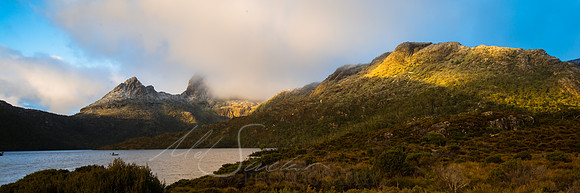 Cradle Light