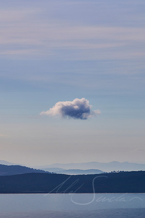 Solo - Bruny Island, TAS