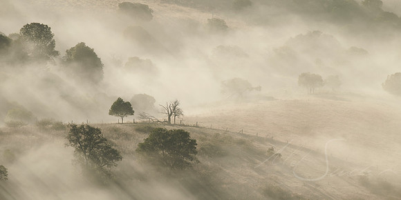 Better Half - Lowood QLD