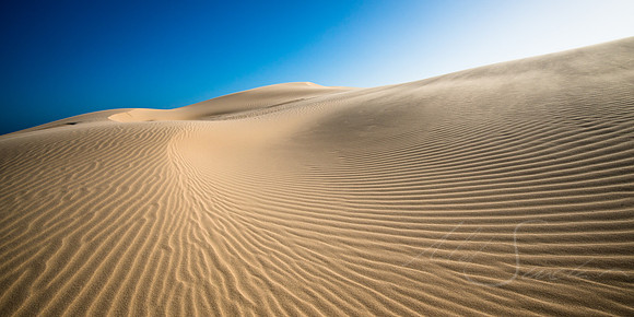 Shifting Sands