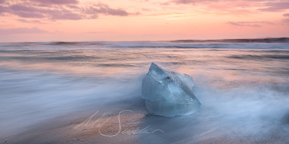 Shark Beach
