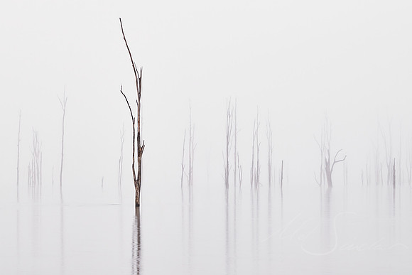 Steadfast - Lake Moogerah QLD