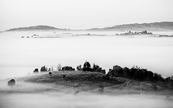 Island In The Mist