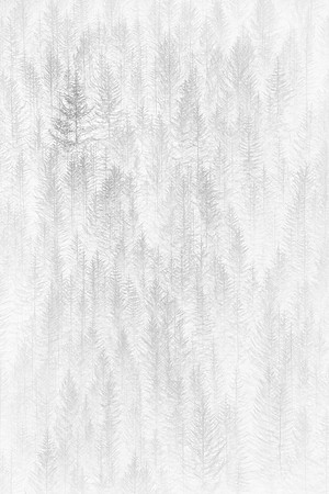 Fragility - Queenstown New Zealand