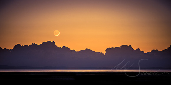 Amber Morning